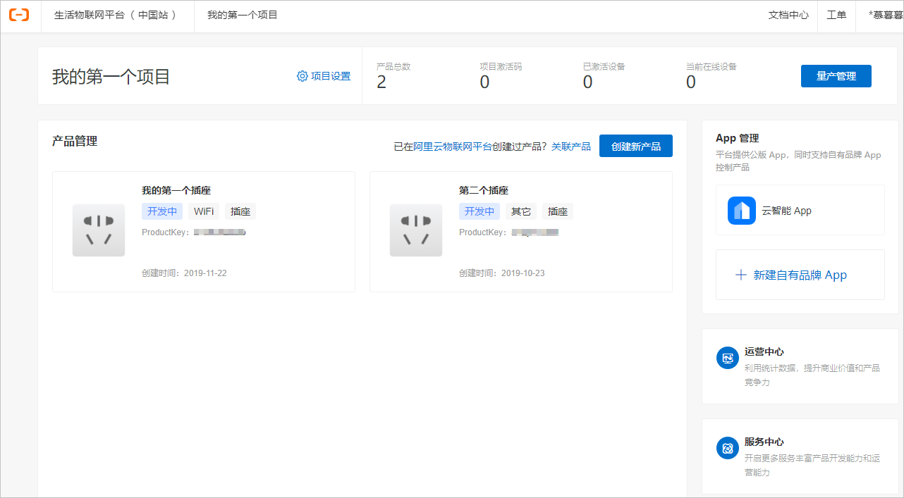 项目主页面