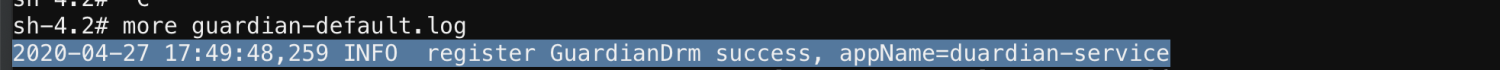 guardian-log.png