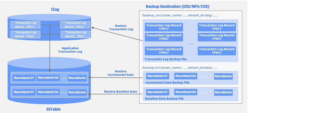Physical restoration architecture