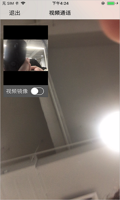 iOS Demo