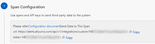 API key of a custom integration