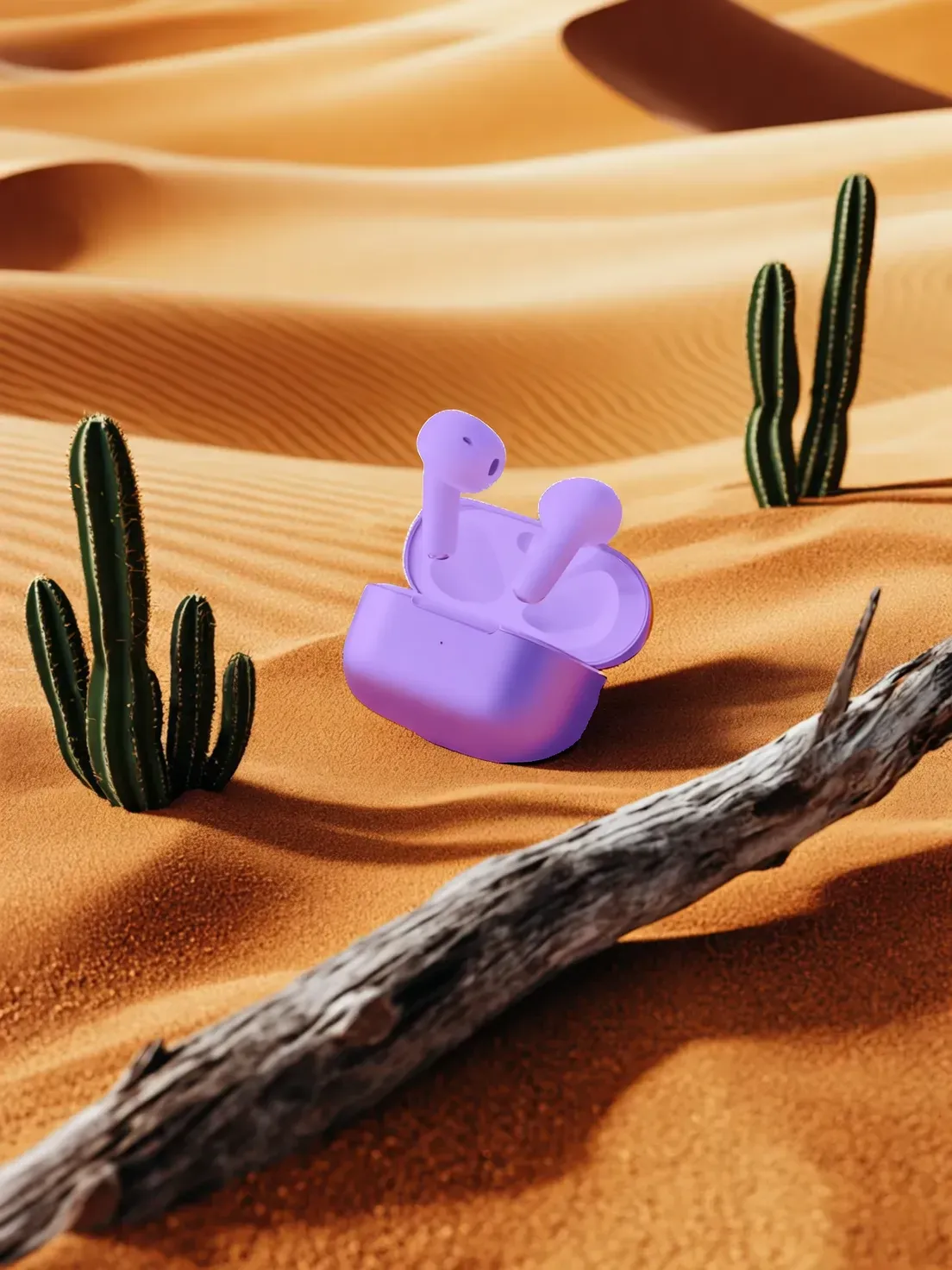 p1020872-转换自-png