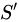 image.svg