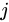 image.svg
