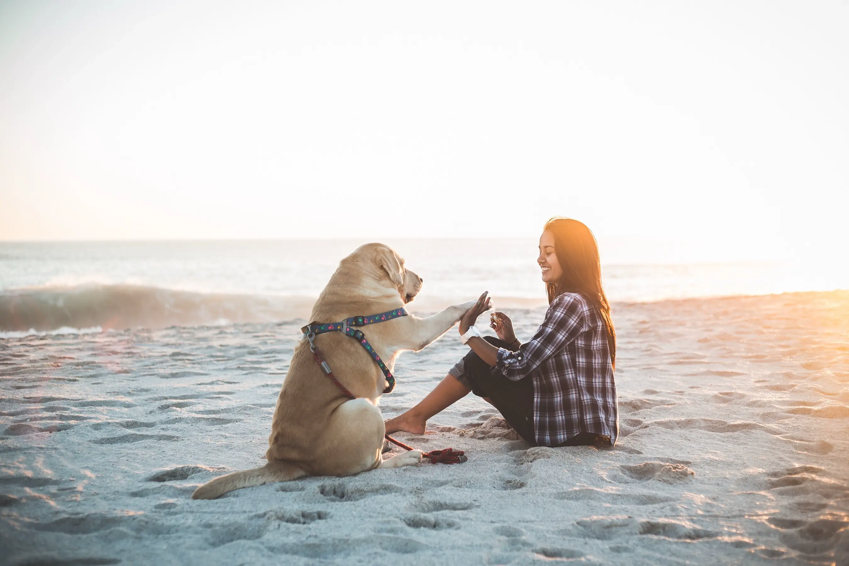 dog_and_girl (1)