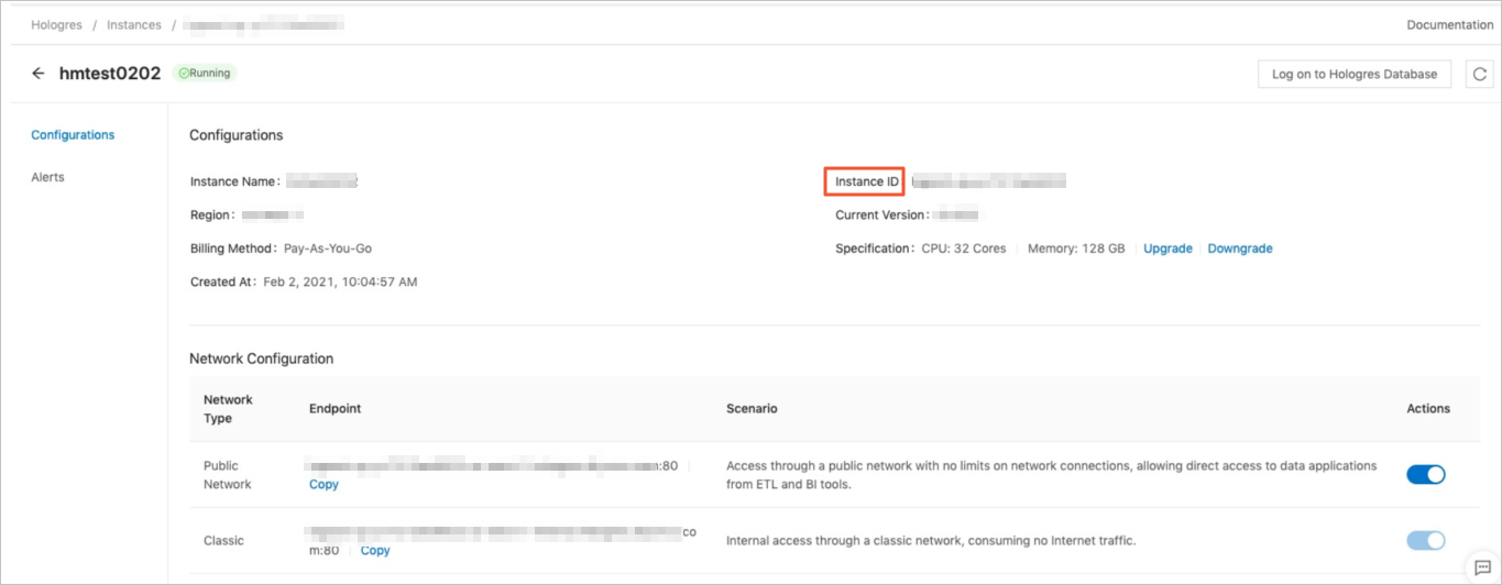 Instance ID