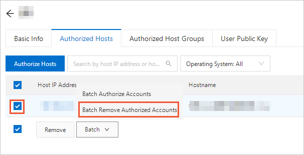 Batch Remove Authorized Accounts pane
