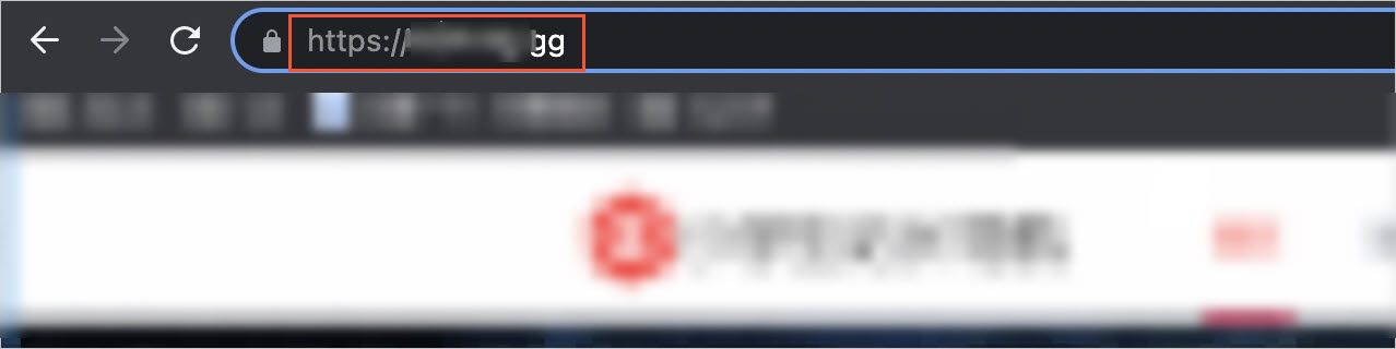 The website can be accessed over HTTPS