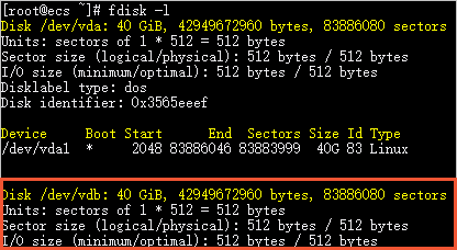 Format disk_fdisk
