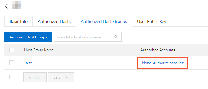 Authorize the accounts of a single host group for a user
