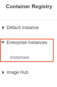 Enterprise Instances