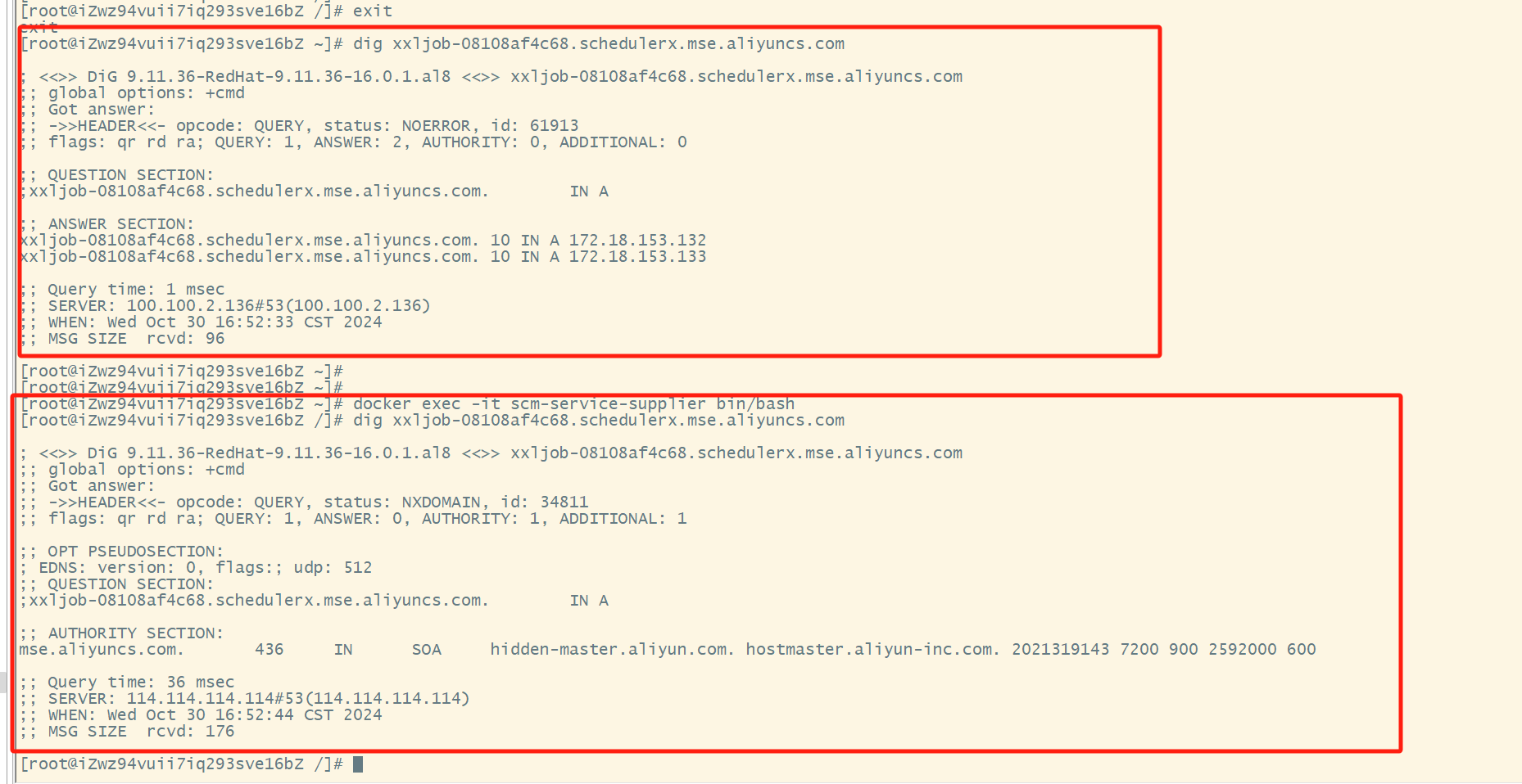 dig command output showing incorrect DNS server