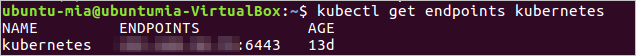 Internal endpoint of the Kubernetes API server