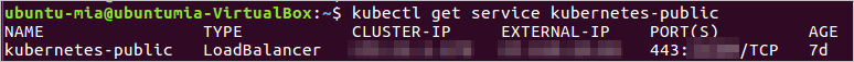 Query the IP address of the Internet-facing SLB instance