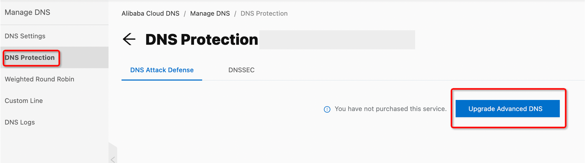 dns protection