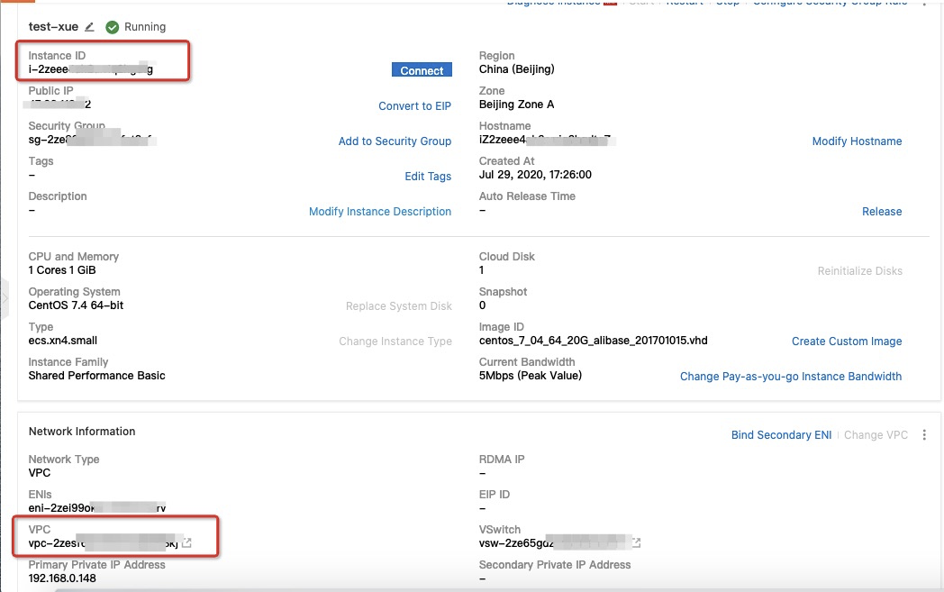 Instance ID