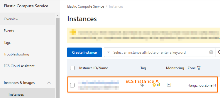Confirm the ECS instance