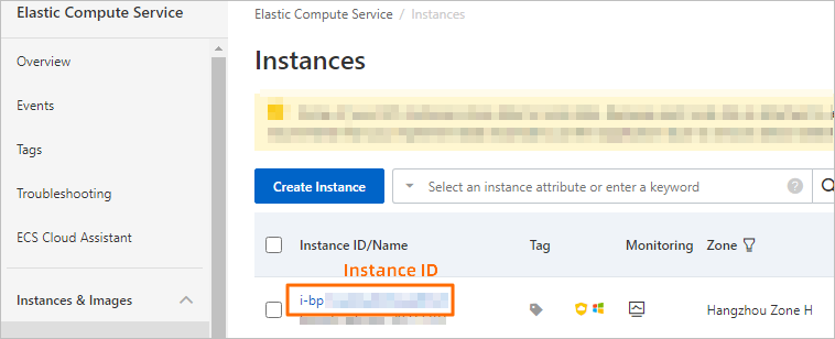 Click the Instance ID