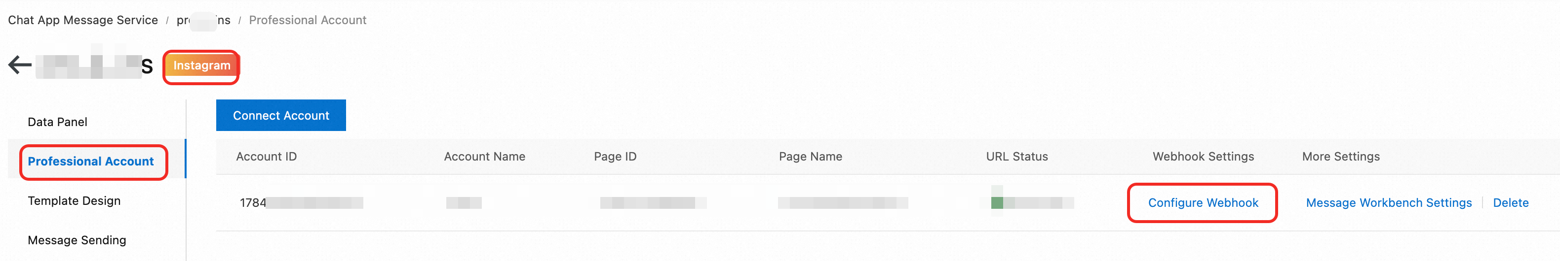 Professional Account menu