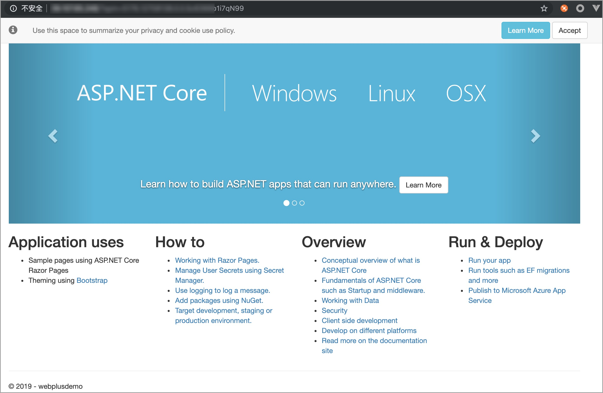 Visit the homepage of a .NET Core application