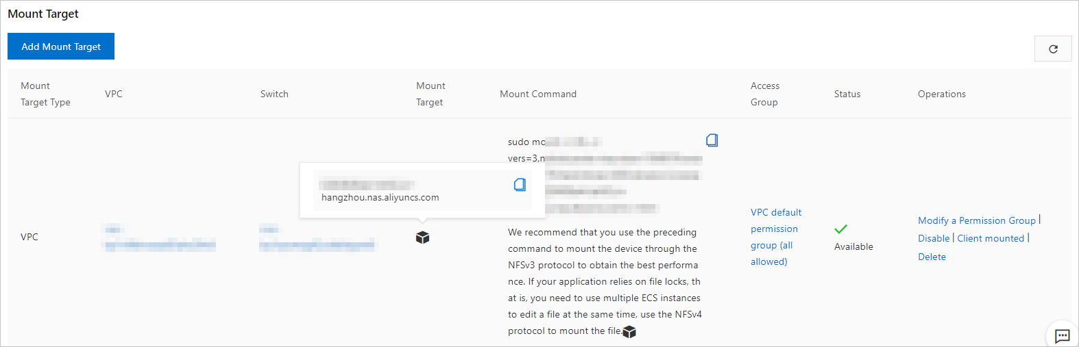 The information about the mount target