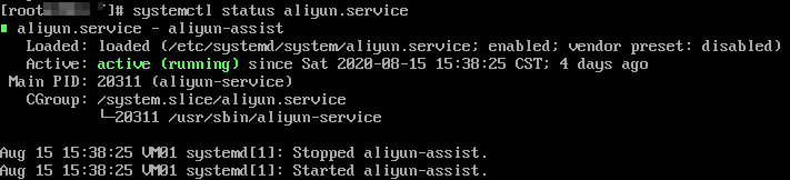Check the status of Cloud Assistant