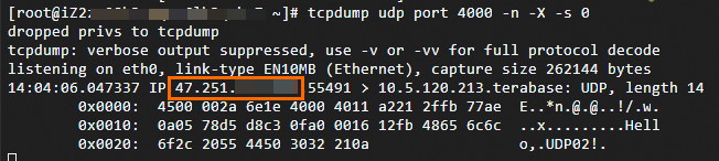 UDP流量 自动获取 抓包