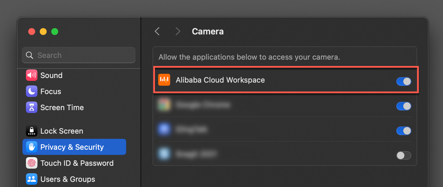 camera_authorization_macos