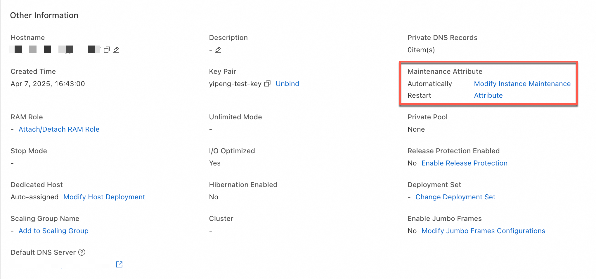 查看实例维护属性