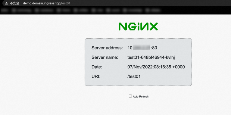 Verification result 1