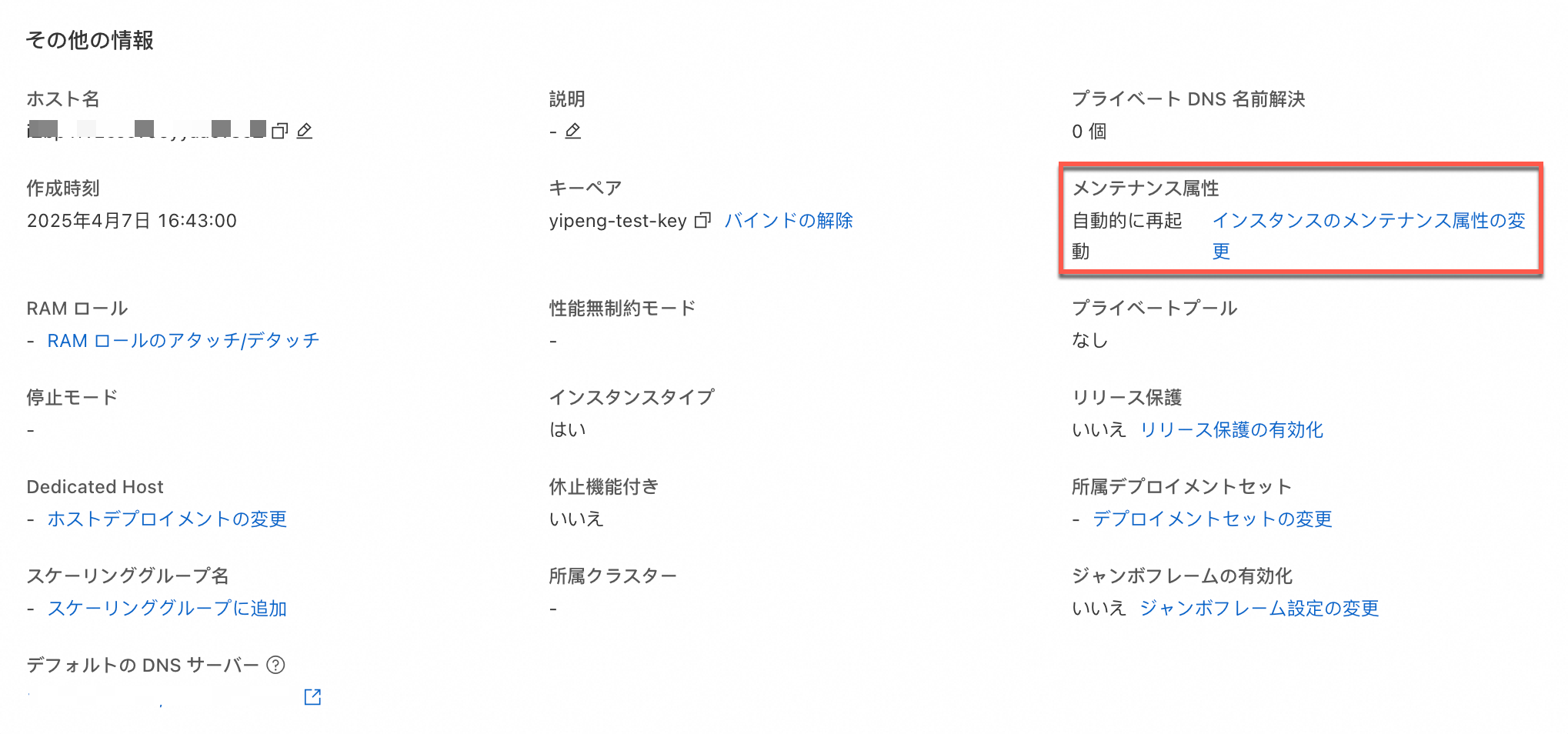 查看实例维护属性