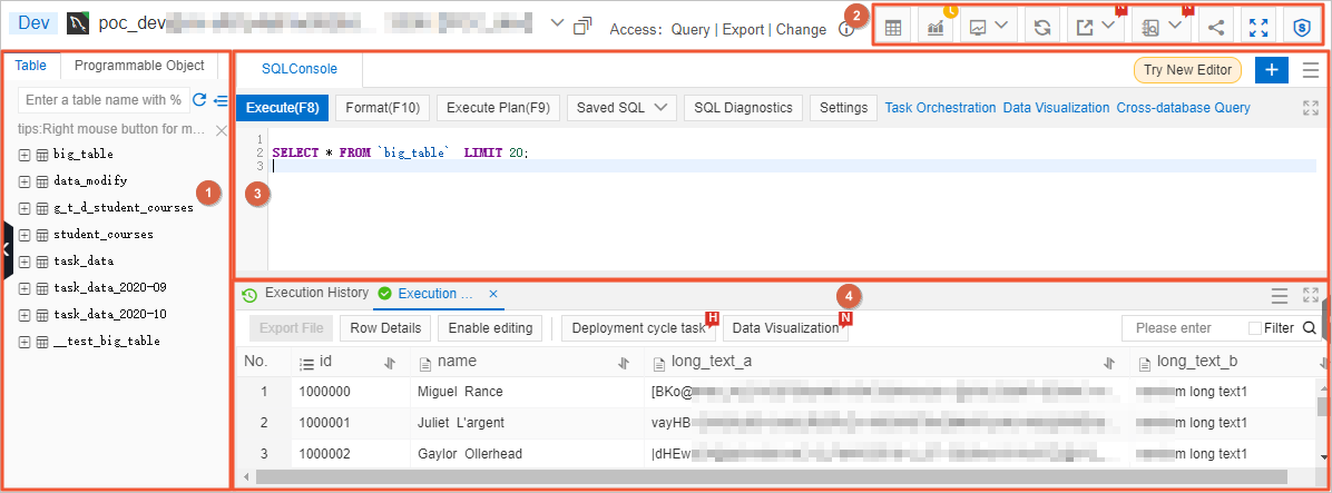 SQL Console