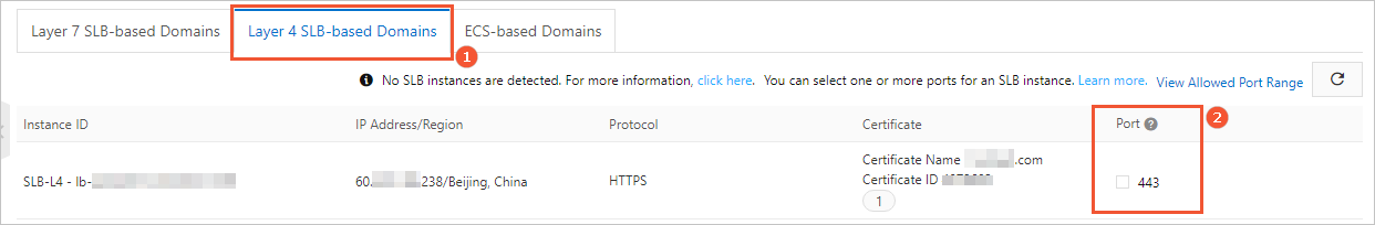 Layer 4 SLB-based Domains 