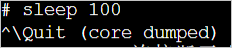 coredump2