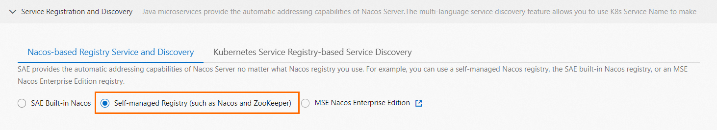 bt_use_user_created_nacos_in_service_registration_and_discovery