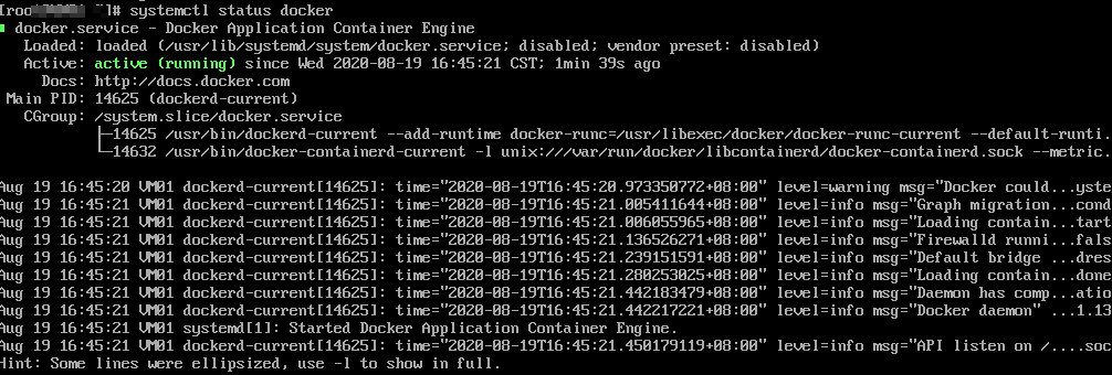 Check the status of Docker