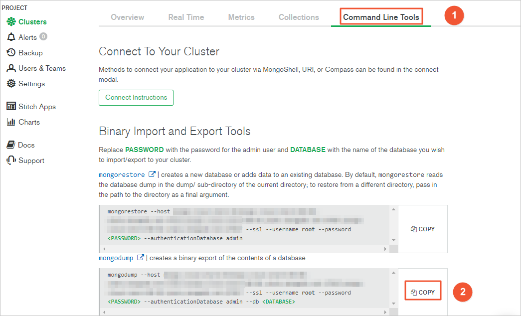 Copy the mongodump command with connection information