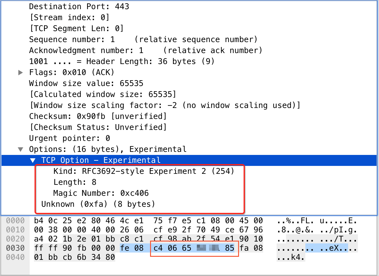 TCP Option