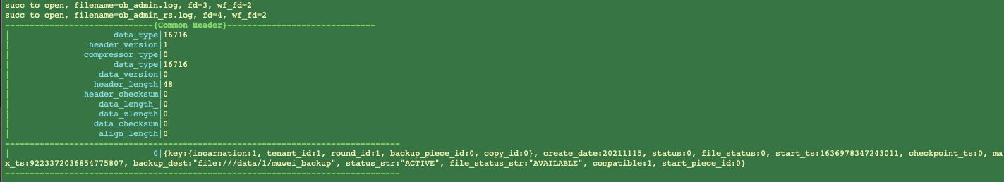 cluster backup info 输出