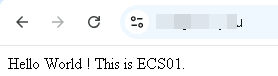 访问测试-ECS01