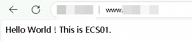 访问 ECS01
