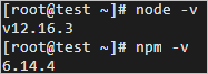 node npm -v
