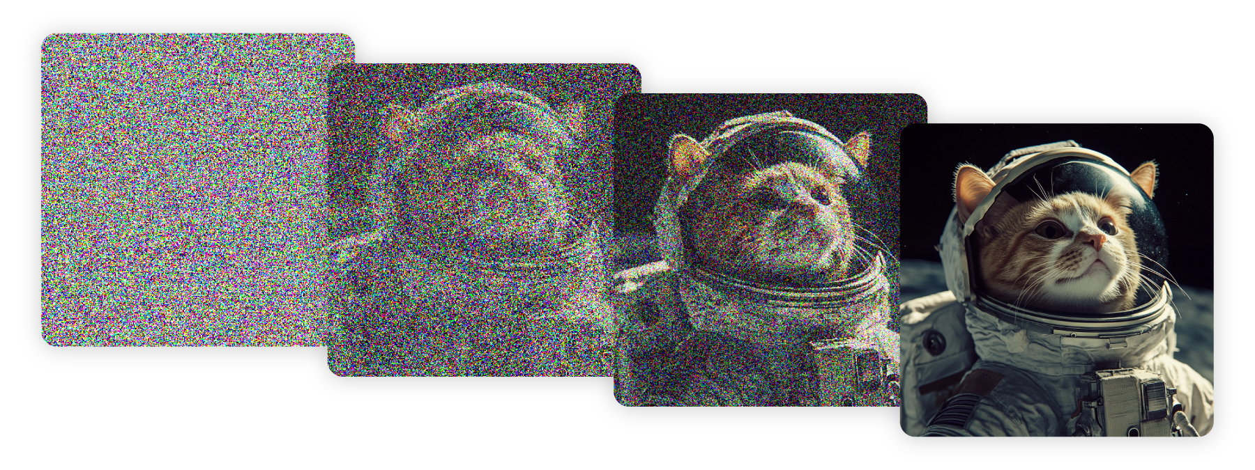 seed-header.png
