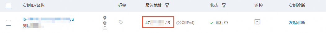 查看公网