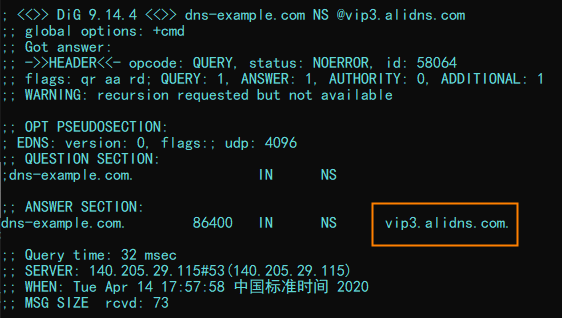 只配置主DNS-2