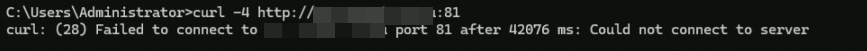 加入安全组-IPv4访问81