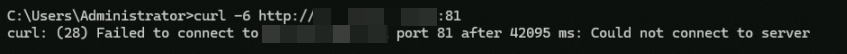 修改安全组-IPv6访问81