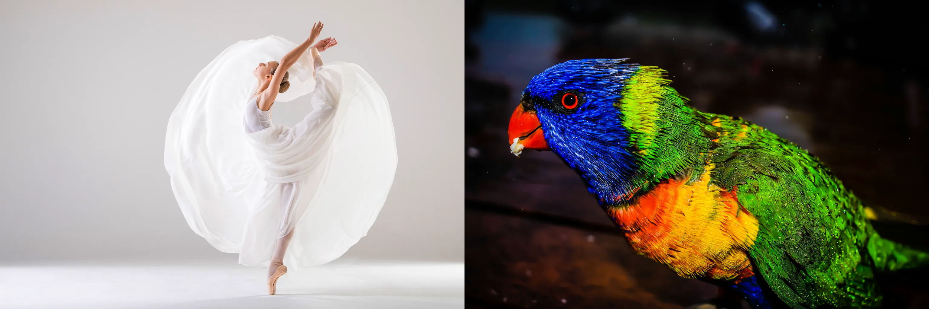 5eecdaf48460cde5544f9fac410016bc2fe4c1b4d23666c075b8339e1c4c24831b75b38faadcd24bec177c308ebd5304f060ec7a363e318af9bfaaa5e07be972cfc1ea4e21b47637fcdb2dfc53130c40a8efed5defc408a04fb4c8ed7016461c-combine