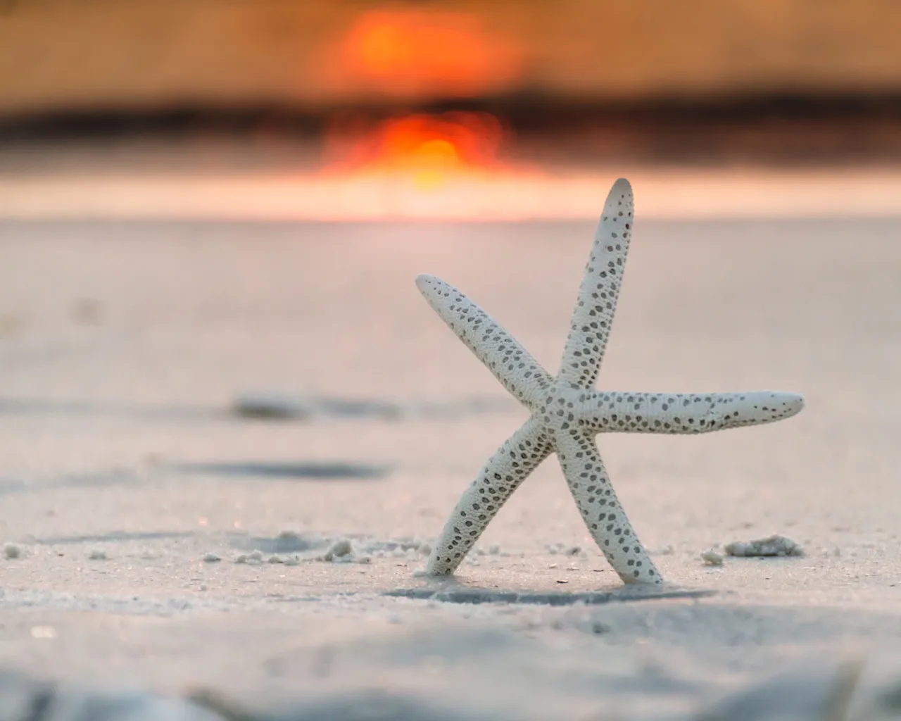 p1020752-轉換自-png