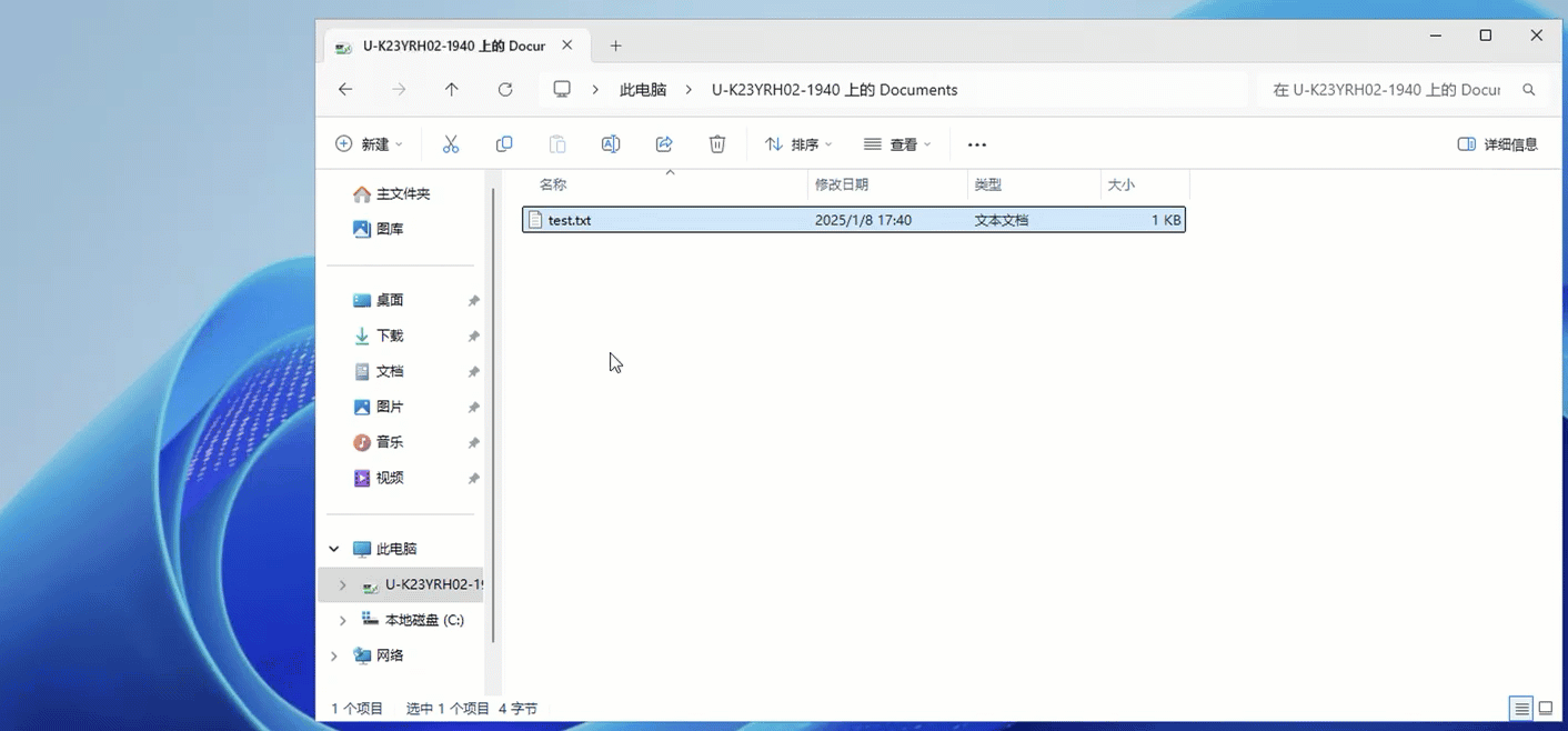 2025-01-09_11-45-33 (1)